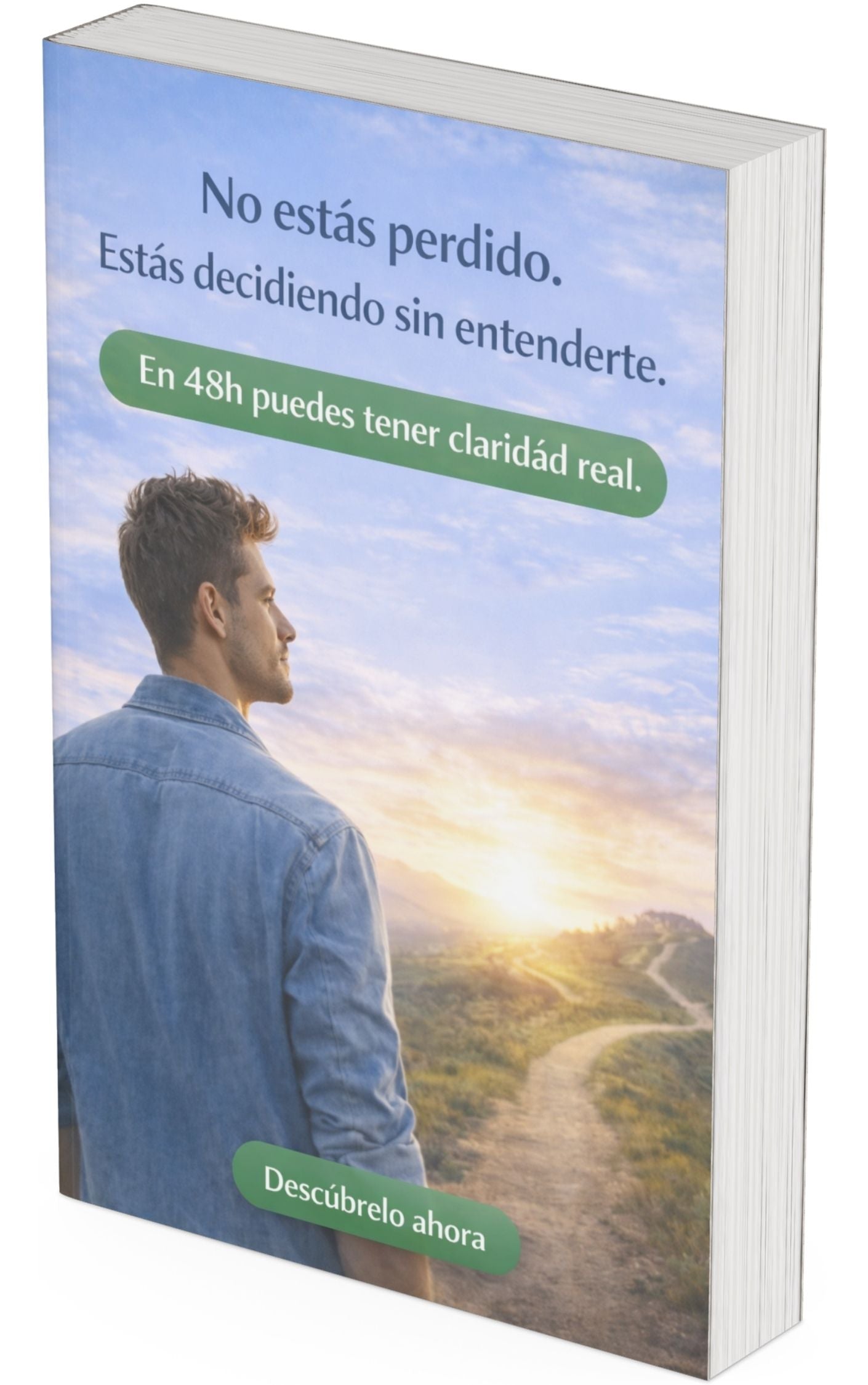 Decide Tu Camino en 48h — Análisis DISC Personalizado